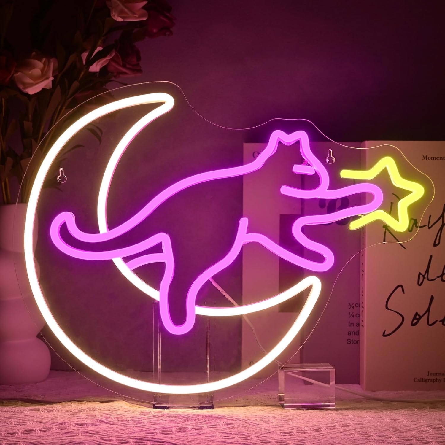 Cat On The Moon Neon Sign Catc - Kids Outdoor Gift Ideas recension och pris